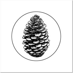 Pinecone - Black Posters and Art